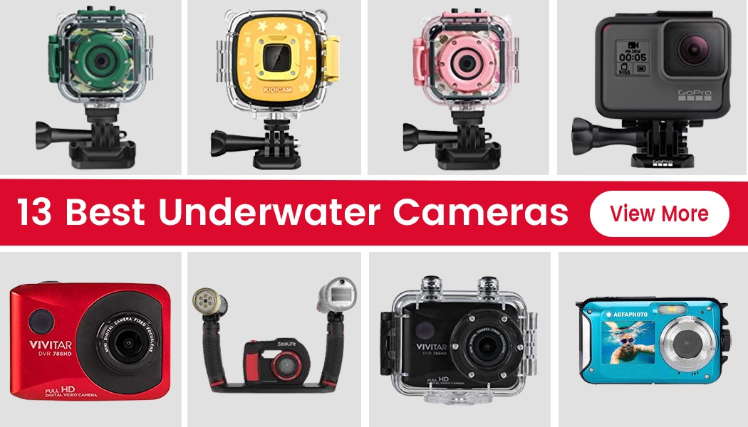 13 Best Underwater Cameras For 2024